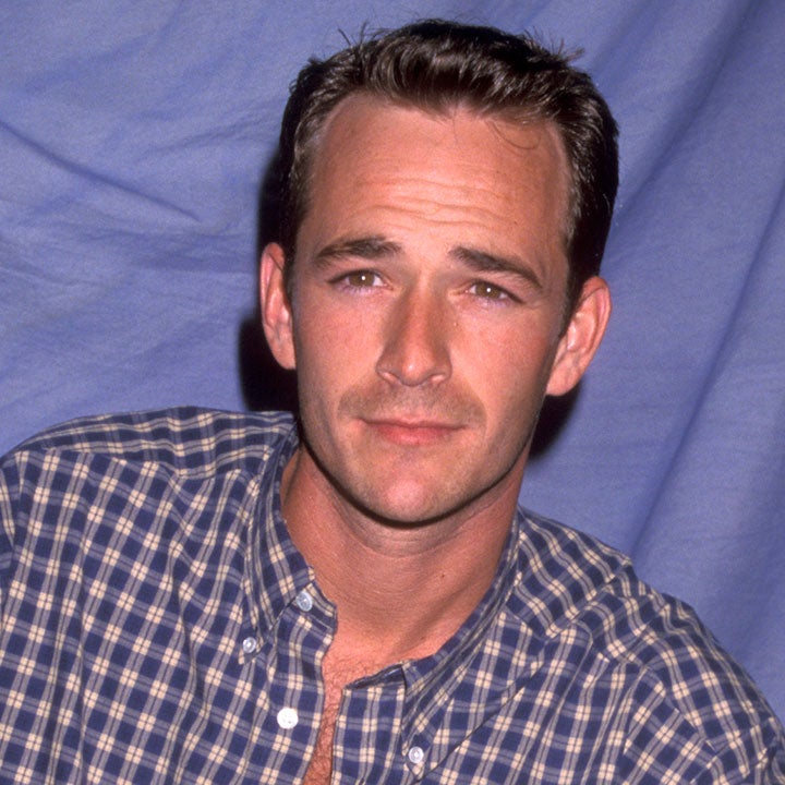 Everything You Didn't Know About Luke Perry: From Hating His 'Teen Idol' Status to His Private Personal Life