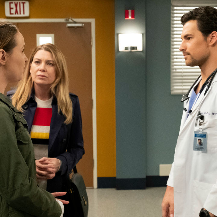 'Grey's Anatomy': DeLuca Takes the Fall for Meredith -- What's Coming in the Dramatic Finale? 