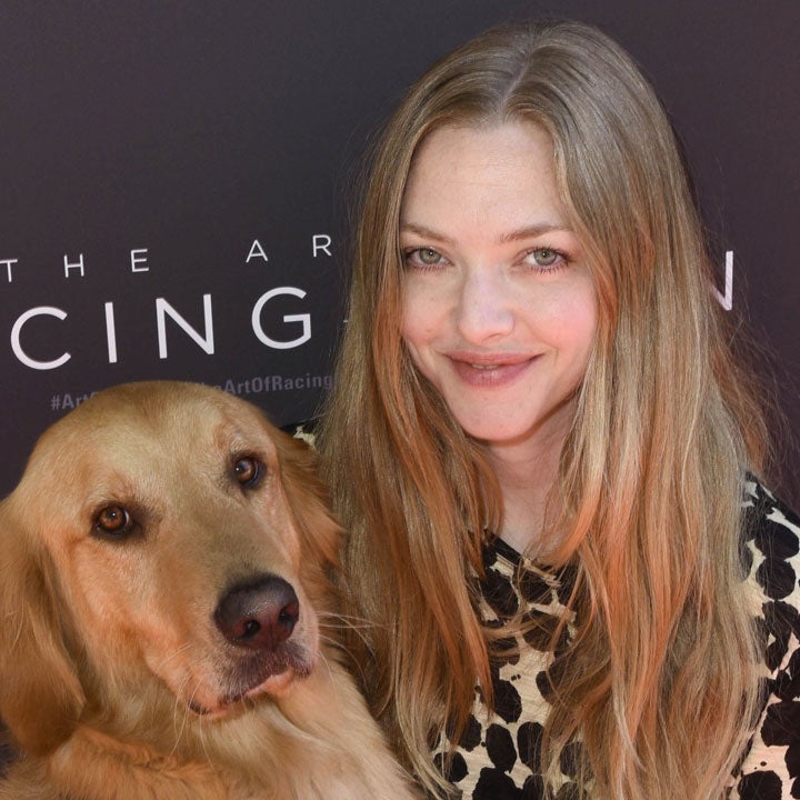 Star Sightings: Amanda Seyfried Surprises Fans With Puppy Love, Awkwafina Hosts a Pool Party & More!