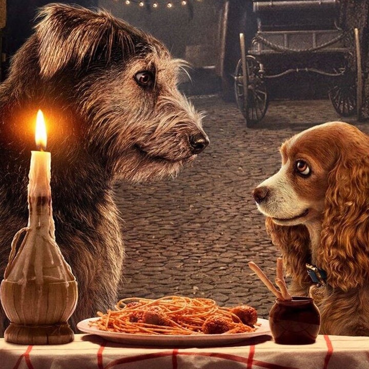 'Lady and the Tramp' Trailer: Tessa Thompson and Justin Theroux Star in Disney's Live-Action Remake
