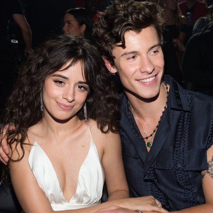 Shawn Mendes and Camila Cabello Jokingly Show Fans How They 'Really Kiss' -- Watch!