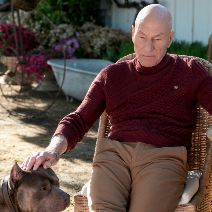 'Star Trek: Picard' Renewed for Season 2 Ahead of Series Launch