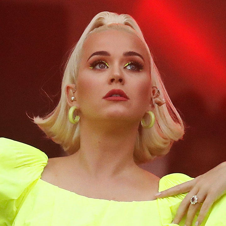 Katy Perry Mourns the Death of Her Cat, Kitty Purry