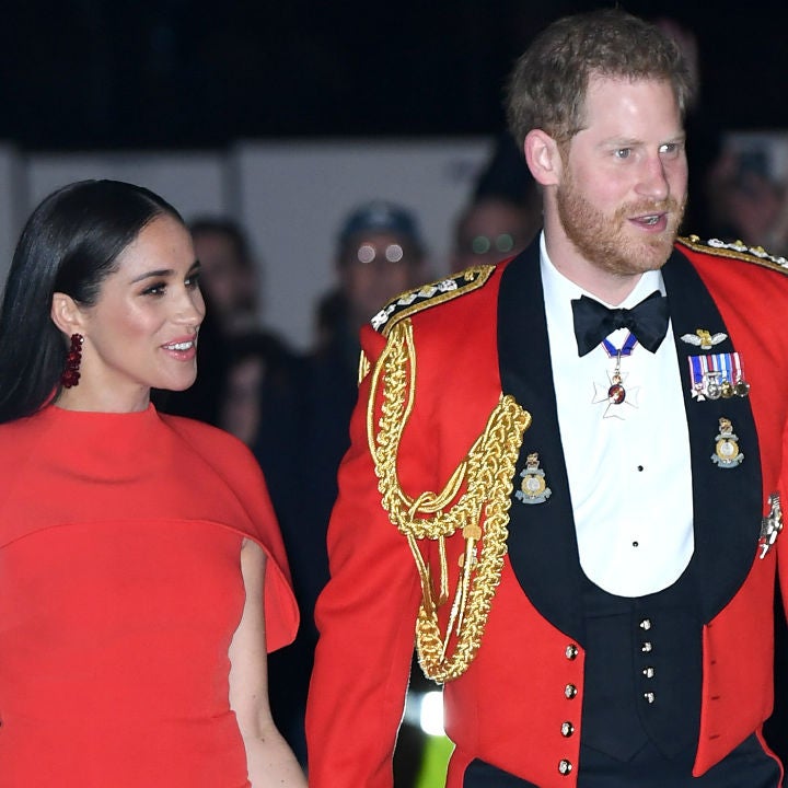 How Prince Harry Helped Meghan Markle When She Was Voicing 'Elephant' Documentary