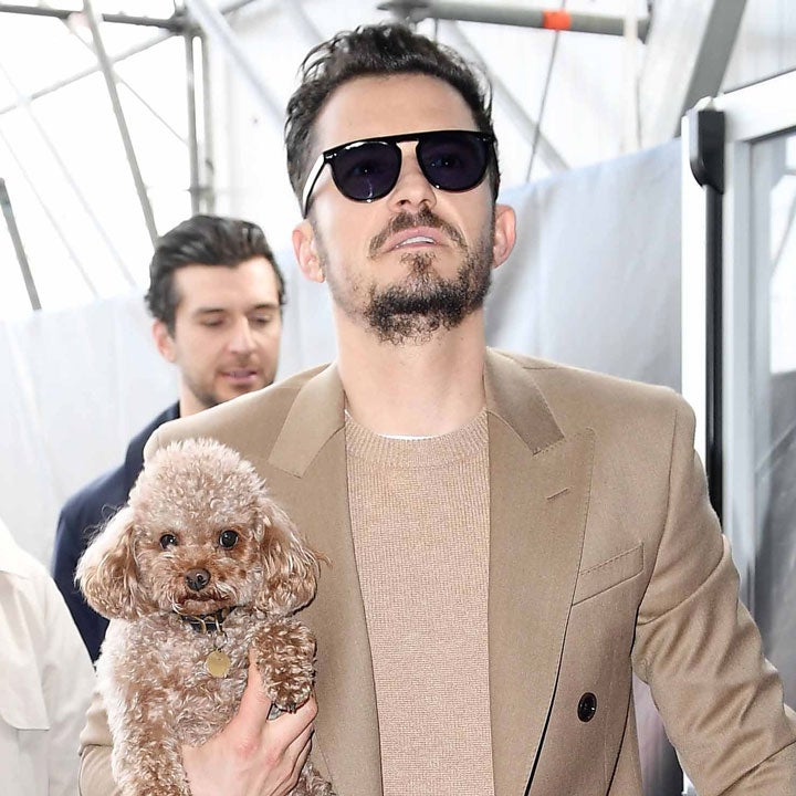 Orlando Bloom and Katy Perry's Dog Mighty Is Missing
