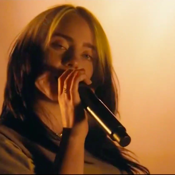 Billie Eilish Performs 'My Future' During the Democratic Convention