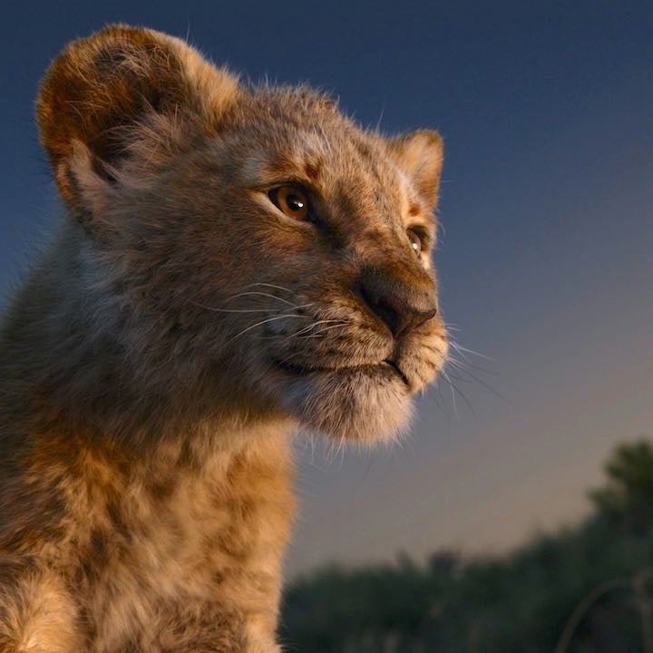 Disney Is Making a 'Lion King' Follow-up Directed by Barry Jenkins