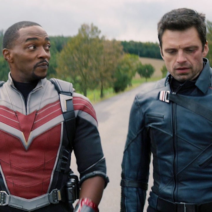 'Falcon and Winter Soldier' Reveals Surprise Cameo by a New MCU Star