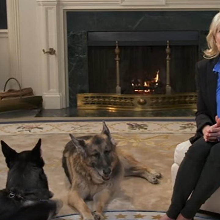 Jill Biden Records PSA for Puppy Bowl With First Dogs: Watch!