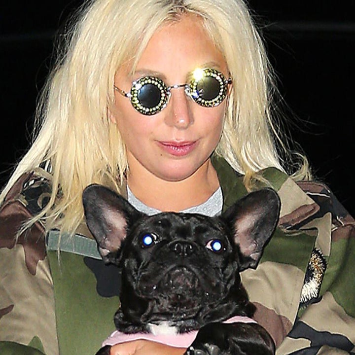 Lady Gaga's Two Dogs Recovered After Being Kidnapped