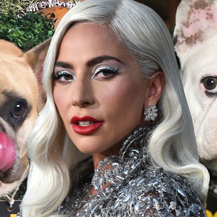 Lady Gaga Speaks Out on Dog Kidnapping, Says Ryan Fischer Is 'a Hero'