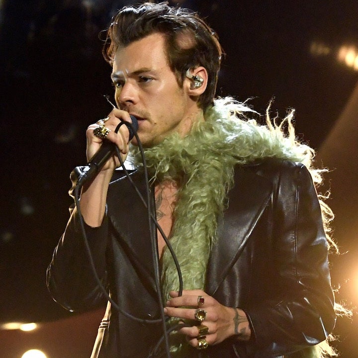 Harry Styles Helps a Fan Come Out to Her Mom at His Concert 