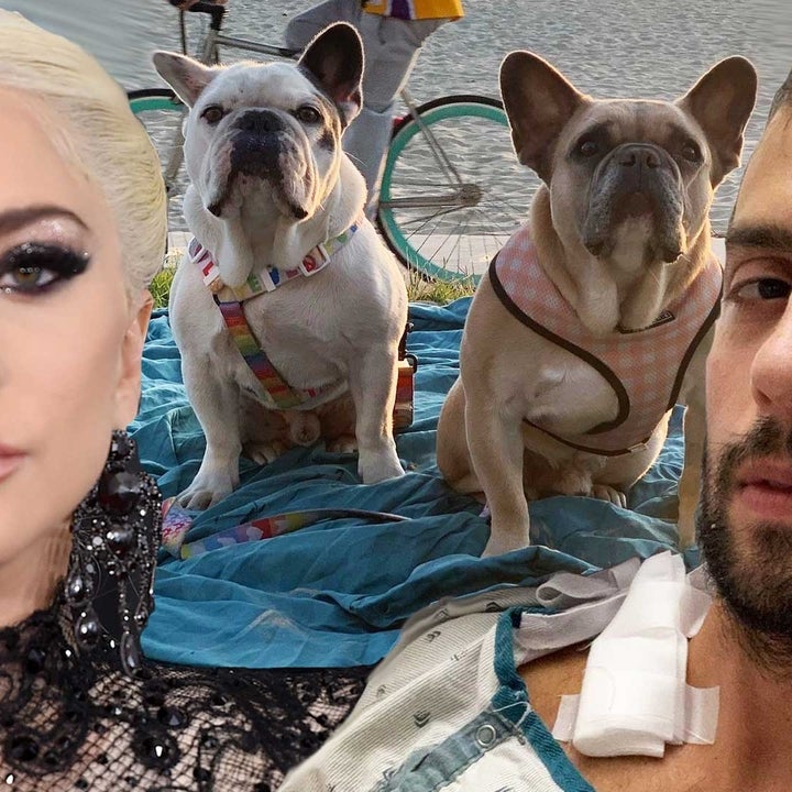 Lady Gaga's Dog Walker Says Medical Staff Didn't Think He'd Survive