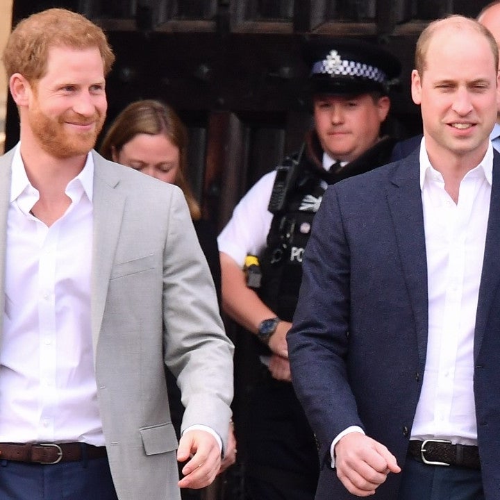 Where Prince Harry and Prince William's Relationship Stands