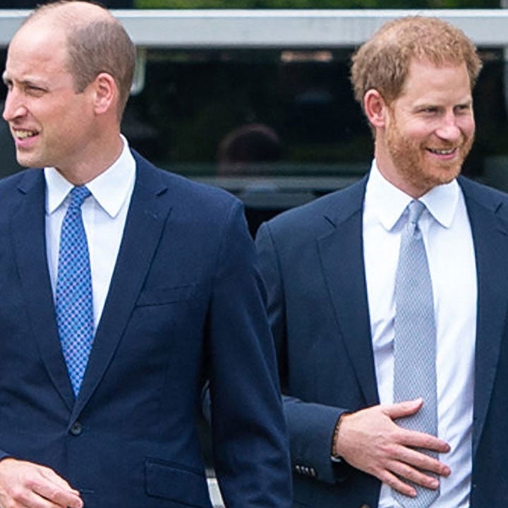 How Princes William and Harry Put on a 'United Front' at Diana Event
