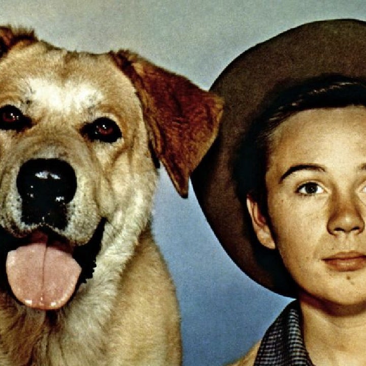 Tommy Kirk, 'Old Yeller' and 'The Shaggy Dog' Actor, Dead at 79