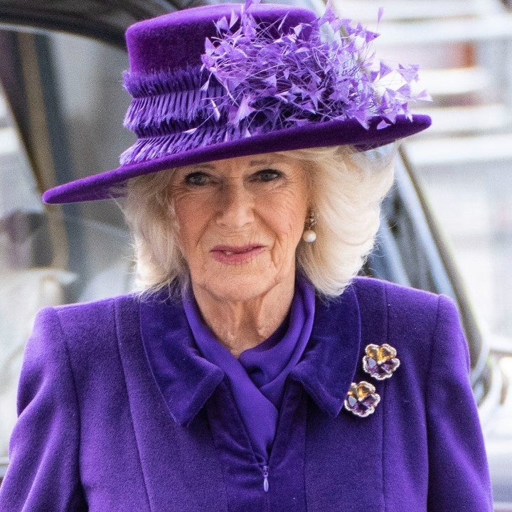Camilla, Duchess of Cornwall, Misses Appearance Amid COVID Recovery