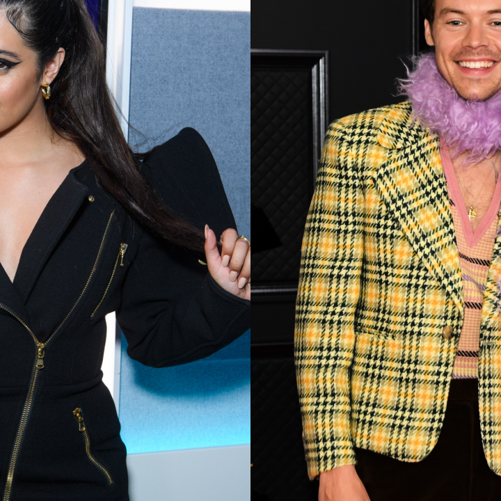 Camila Cabello Says She Auditioned for 'X Factor' to Meet Harry Styles