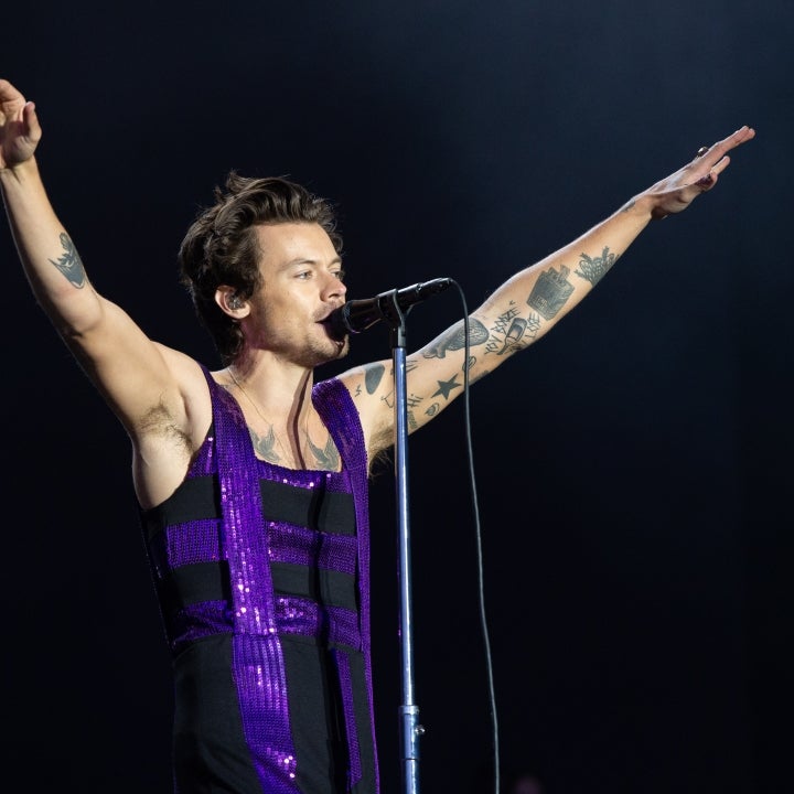 Harry Styles Pauses Performance After Chicken Nuggets Thrown on Stage
