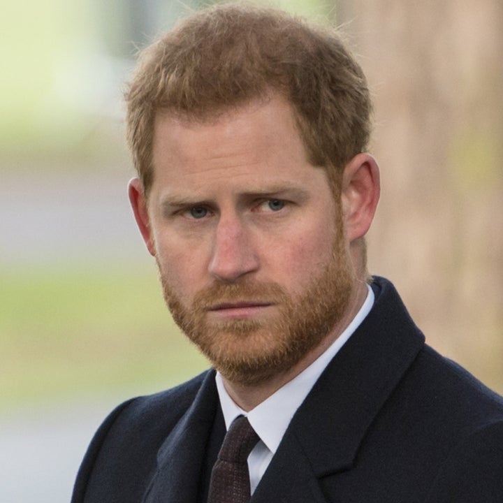 Prince Harry Reveals How Diana Would Feel About Rift With William