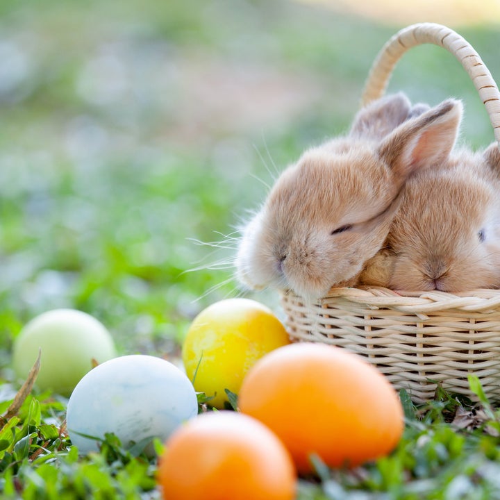 The Best Last Minute Easter Gifts For All Ages On Amazon To Get Ready for Easter Sunday