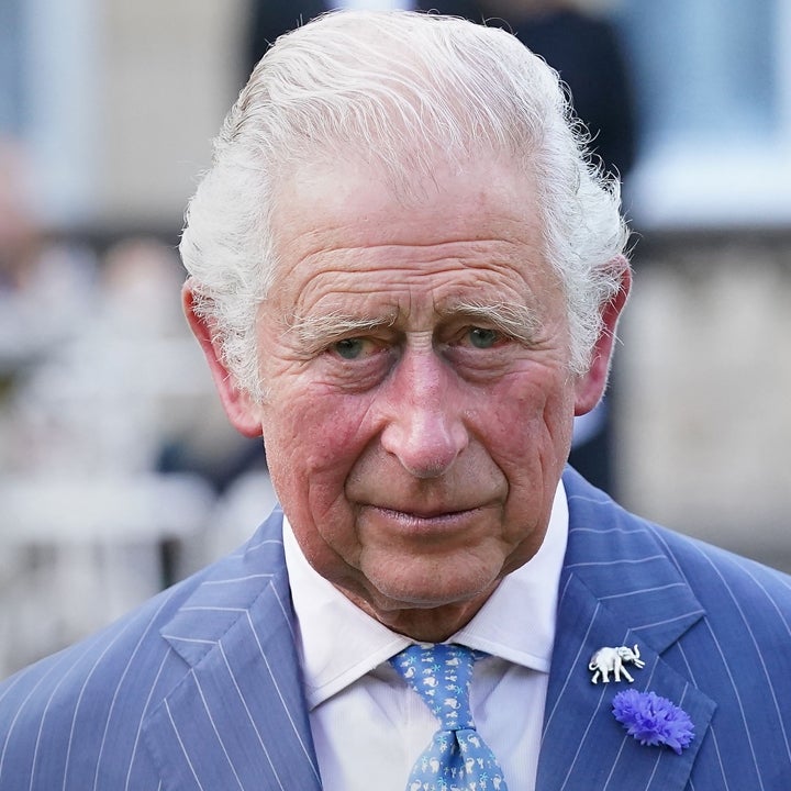 King Charles Expects Royals to Finance Their Own Homes: Report