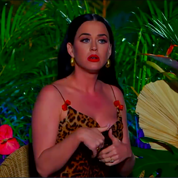 Katy Perry Is Booed on 'American Idol' for the First Time