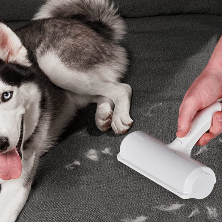 The TikTok-Favorite ChomChom Pet Hair Remover Is On Sale for $20