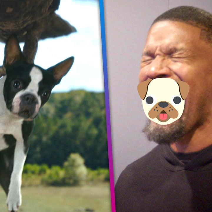 'Strays': Behind the Scenes of Jamie Foxx & Will Ferrell's Dog Comedy