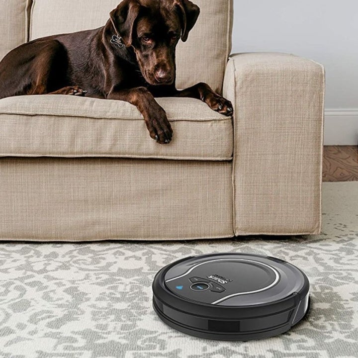 Tidy Up with the Best Amazon Prime Day Deals on Shark Vacuums