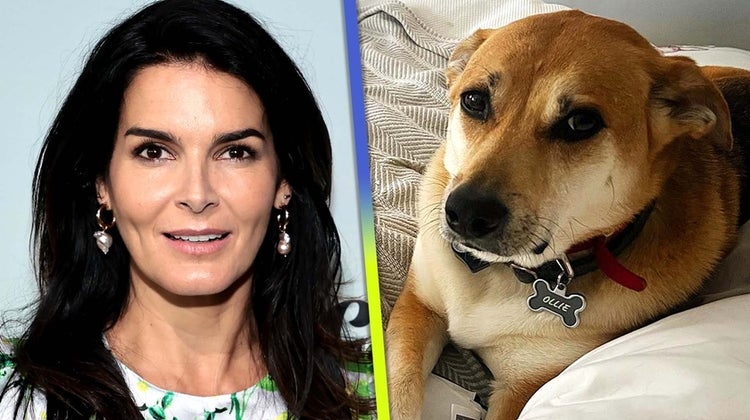 Angie Harmon Claims Delivery Driver Killed Her Dog, Company Says It's Investigating