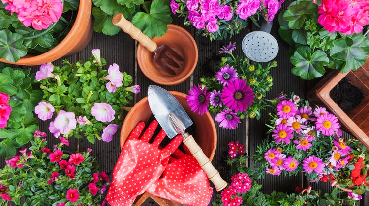 Spring Gardening Essentials You Can Shop on Amazon