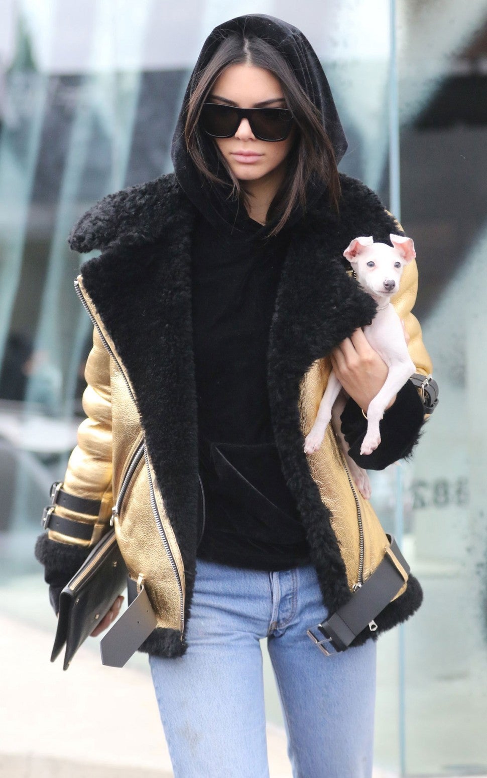 Kendall Jenner S Puppy Makes For The Cutest Shopping Partner Ever Entertainment Tonight