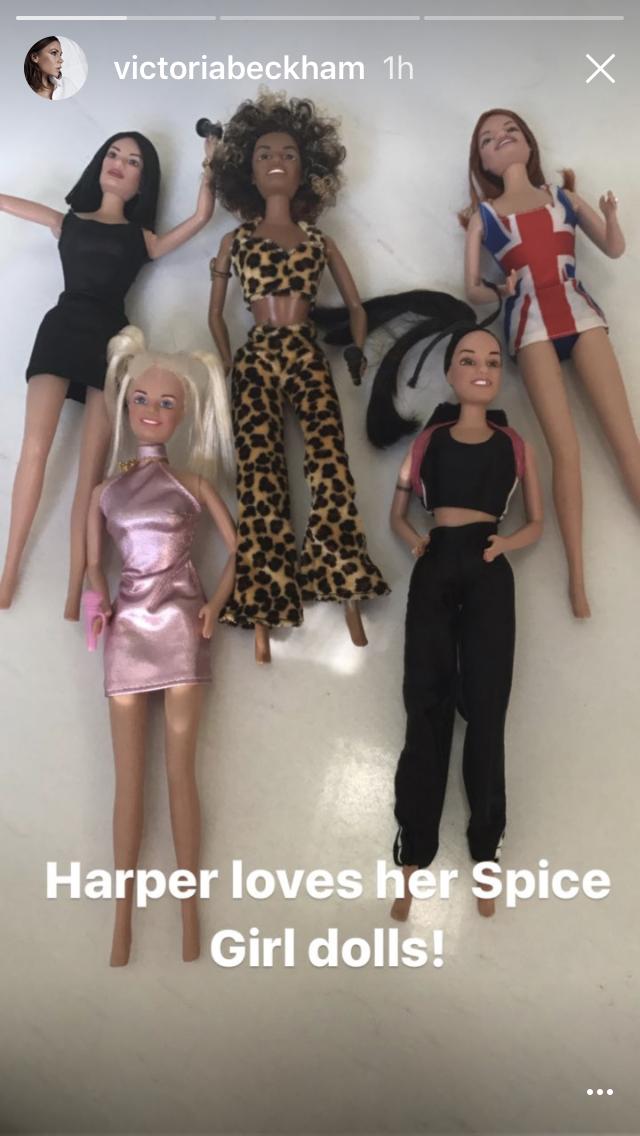 spice dolls