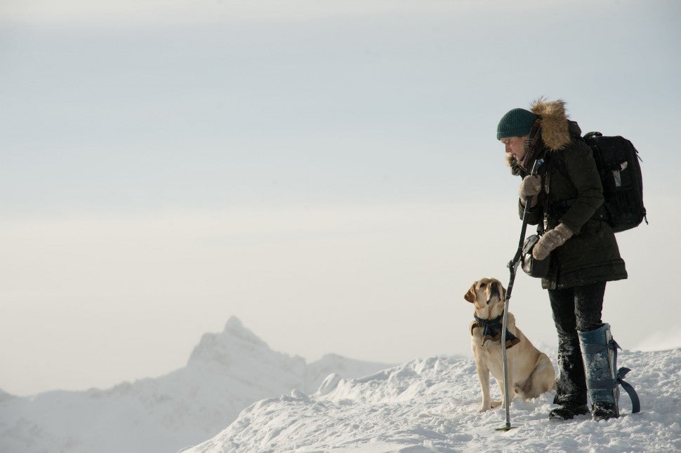 Kate Winslet in 'The Mountain Between Us'