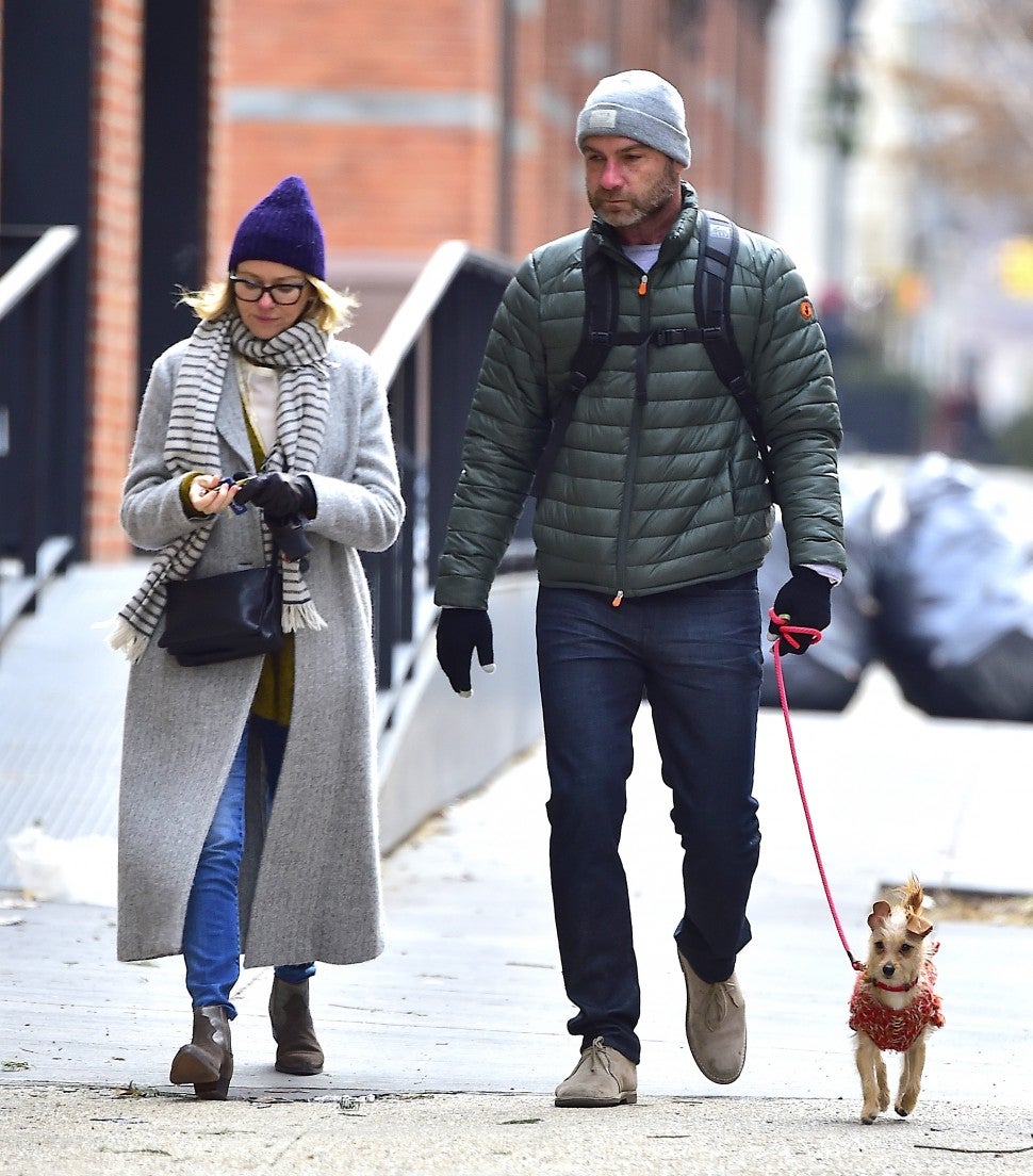 Liev Schreiber  and Naomi Watts walking dog