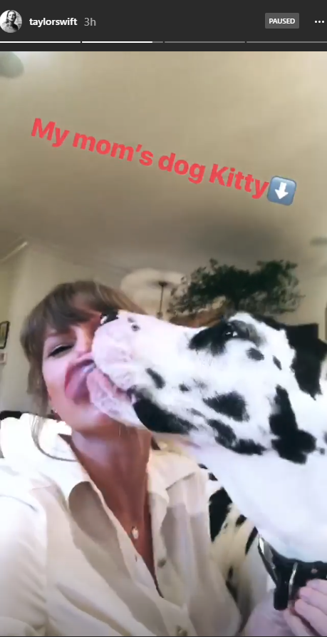 Taylor Swift (and dog) Instagram