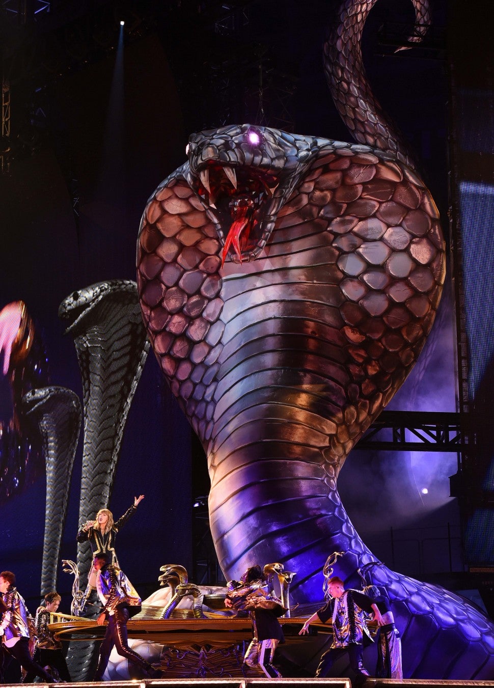 Taylor Swift 'Reputation Tour' stage cobras