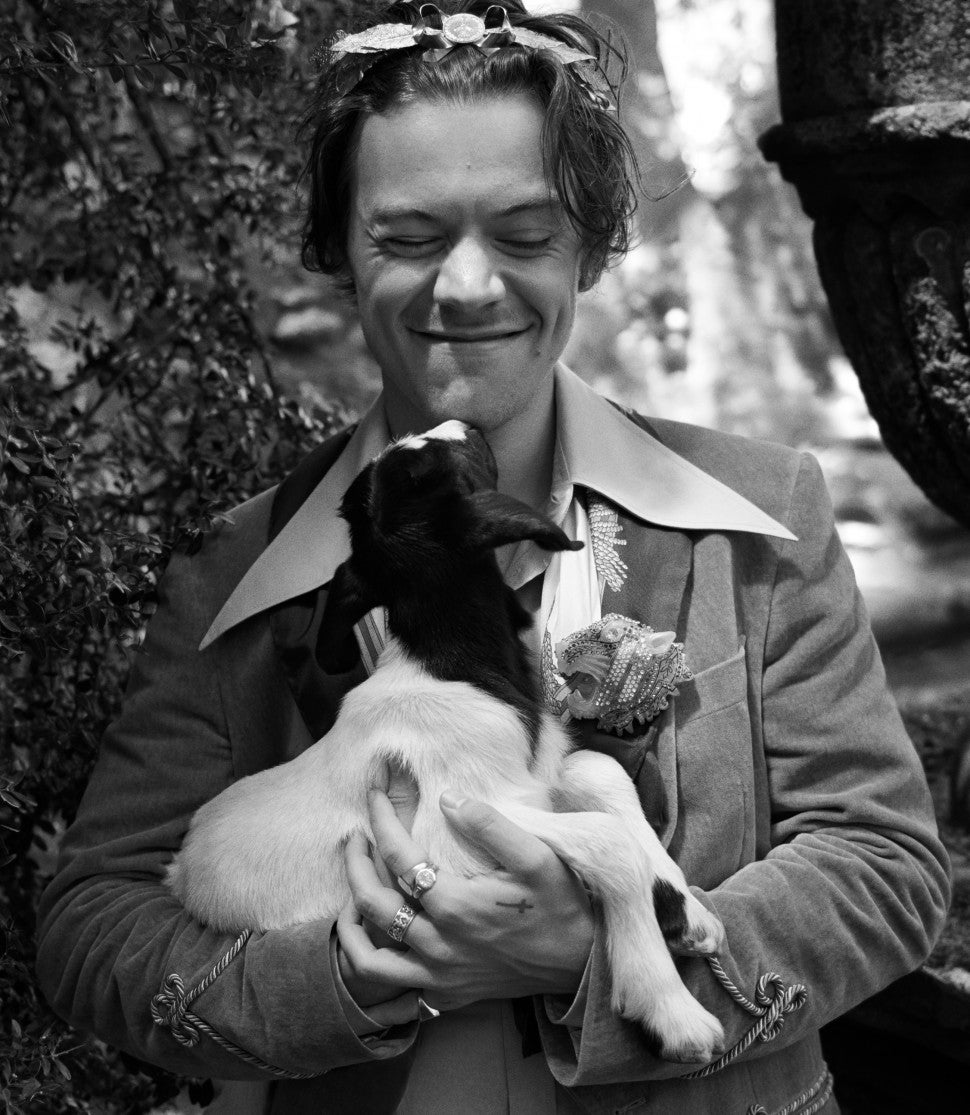 Harry Styles Gucci campaign with goat black and white