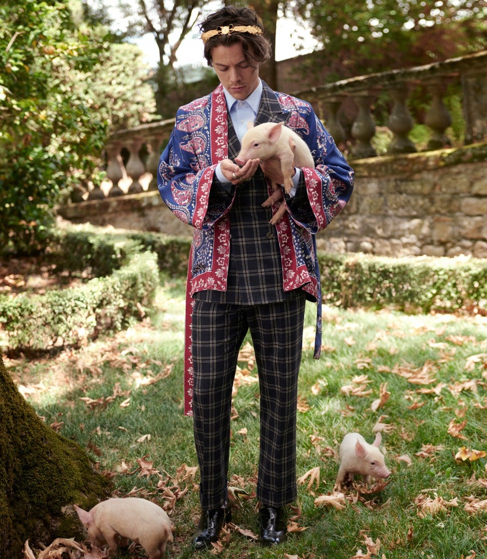 Harry Styles Gucci campaign piglets 
