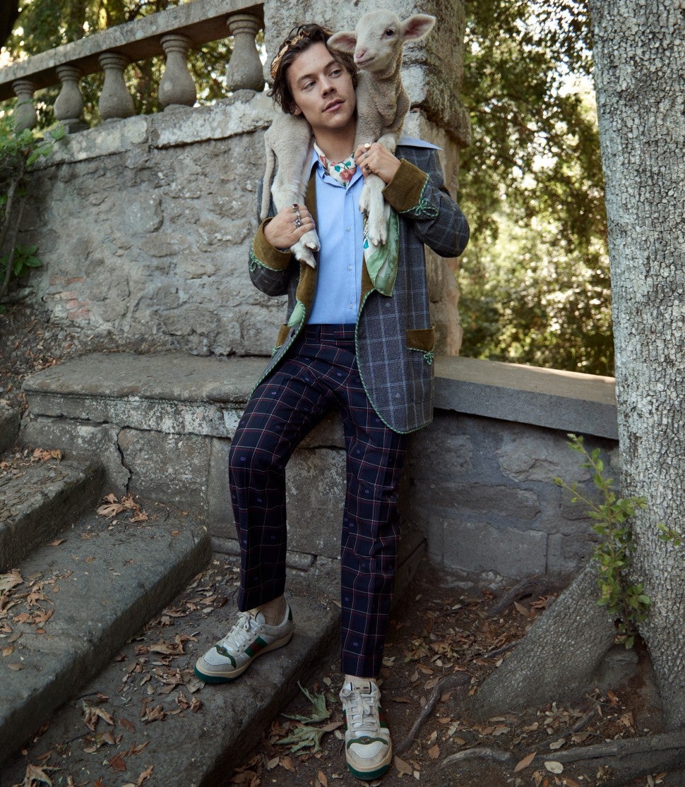 Harry Styles Gucci campaign with lamb