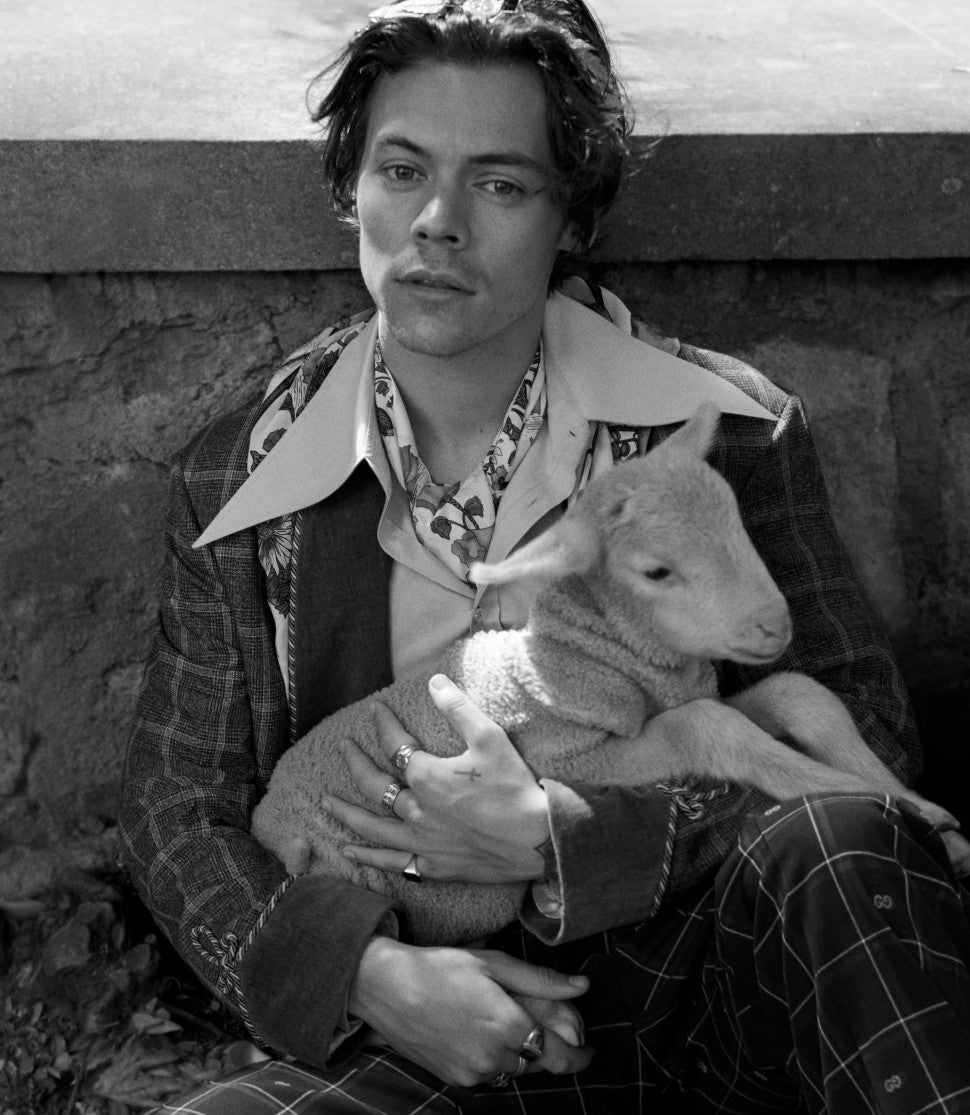 Harry Styles Gucci campaign with lamb black and white