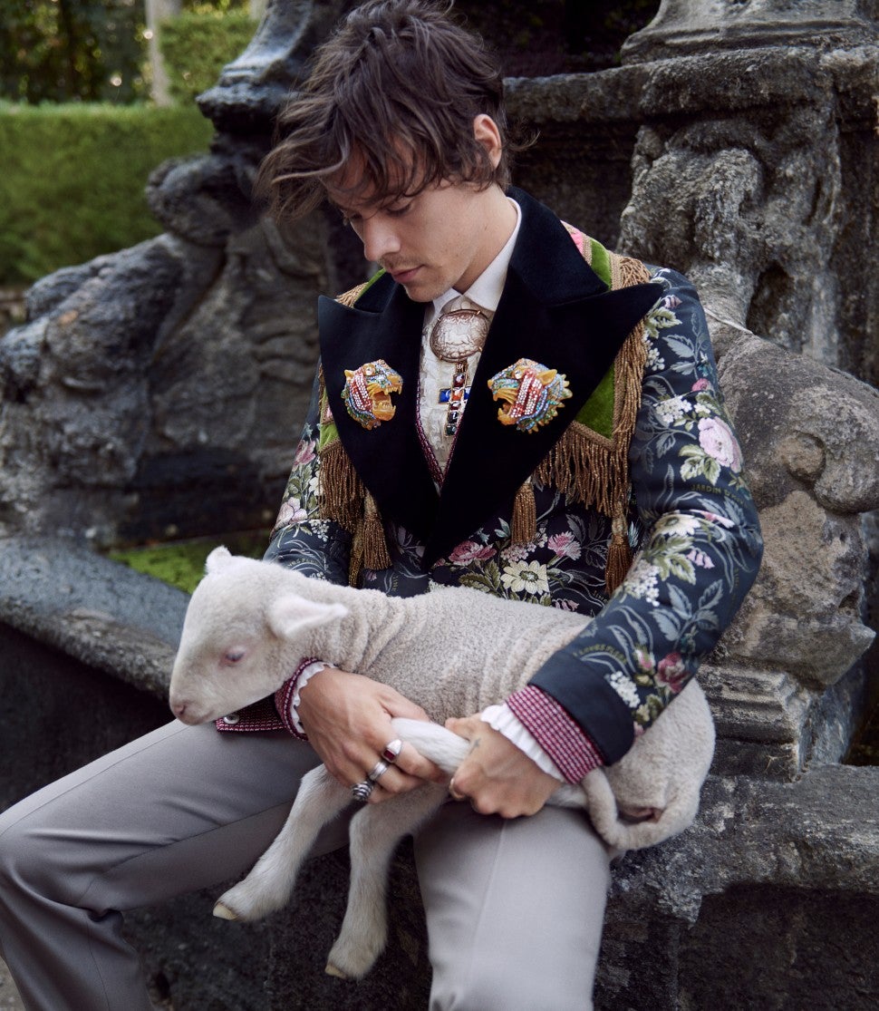 Harry Styles Gucci campaign with lamb