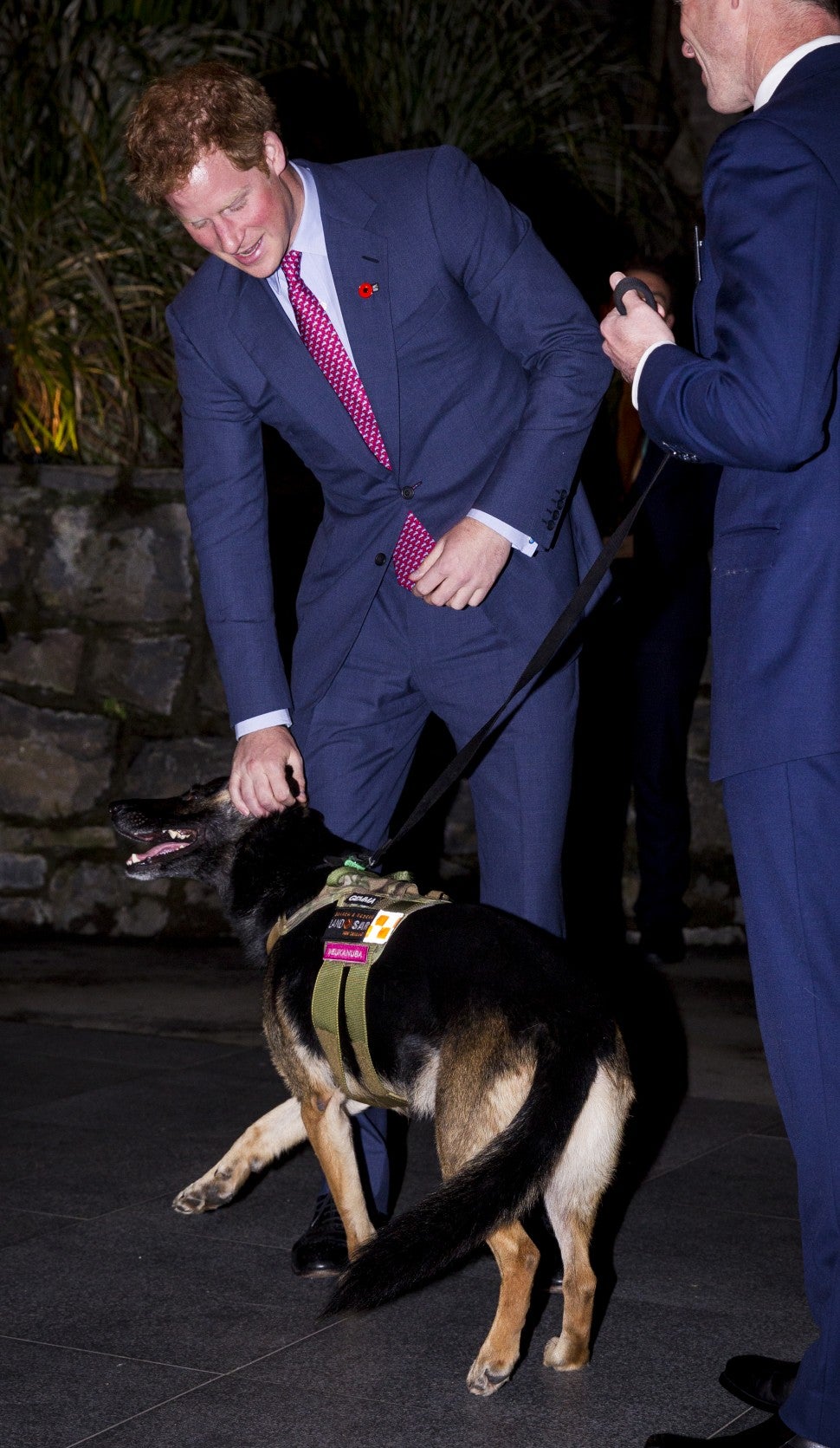 Prince Harry, 2015