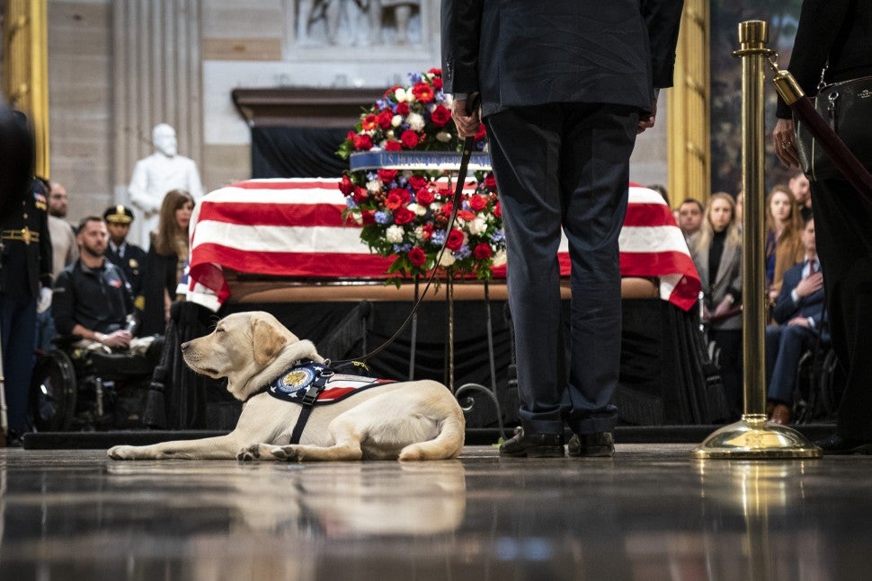 George H.W. Bush's service dog, Sully