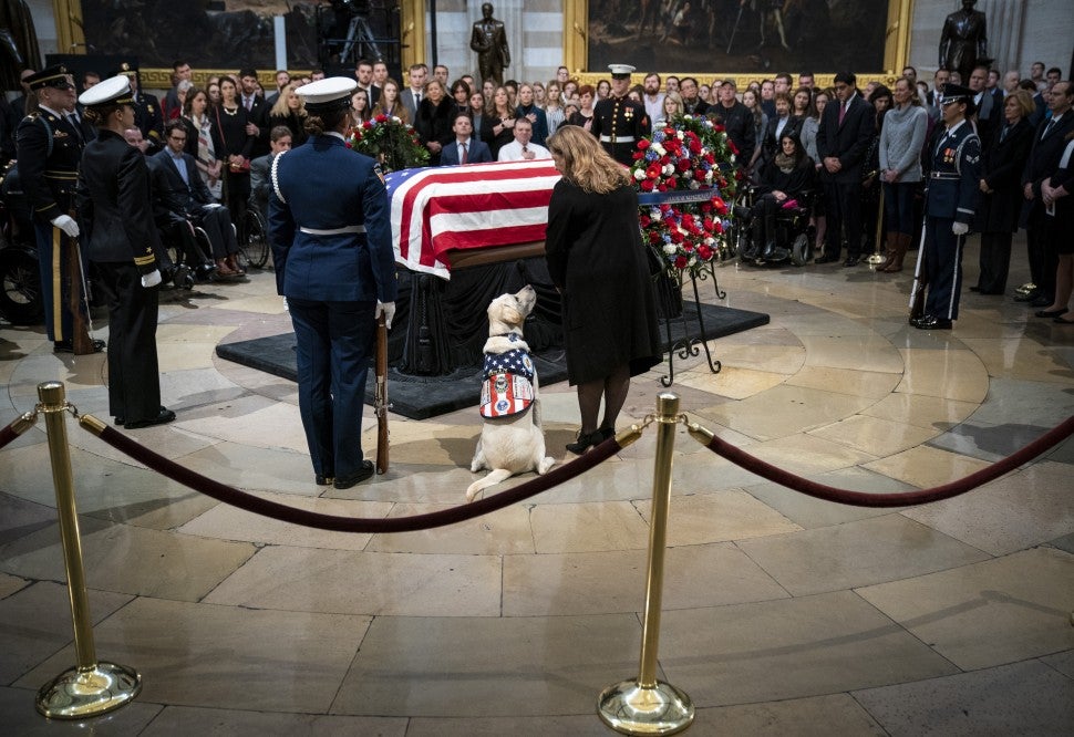 George H.W. Bush's service dog, Sully
