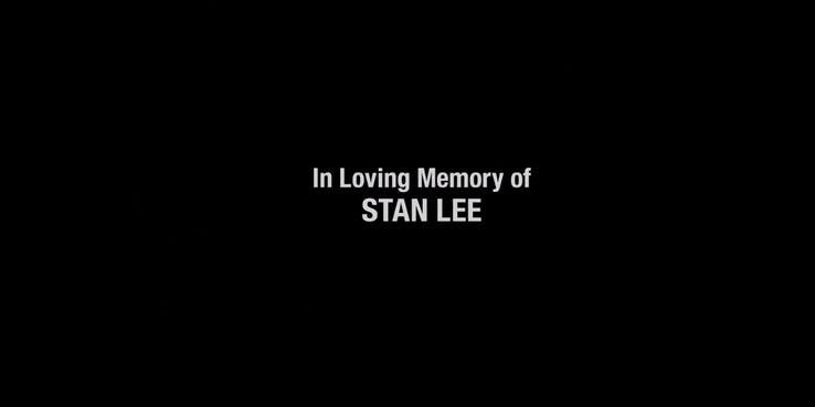 the punisher stan lee tribute