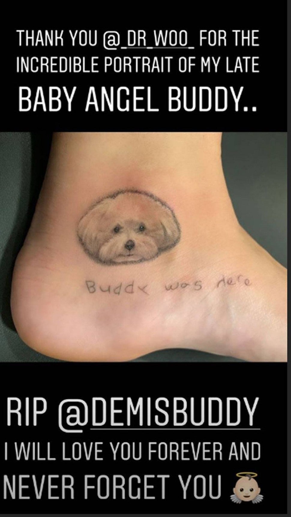 Demi Lovato's tribute tattoo to Buddy