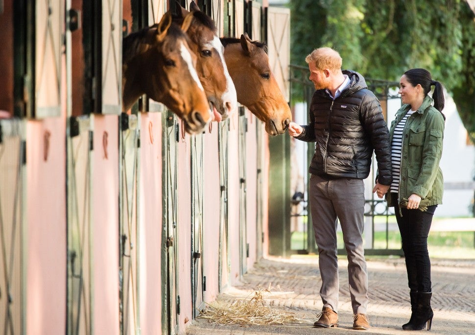 Prince Harry and Meghan Markke visit horses in Morocco