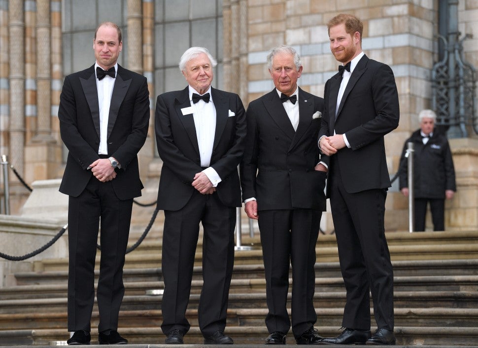 Prince William Prince Charles Prince Harry David Attenborough Getty